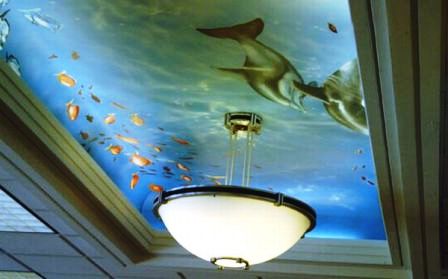 фотообои на потолок для разных комнат, фотообои на потолок для разных комнат,