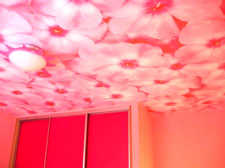 фотообои на потолок фотообои на потолок