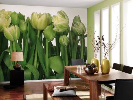 Фотообои на стену: фото, виды, функции и особенности выбора фотообоев для стен