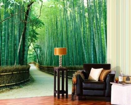 фотообои на стену фото для зала