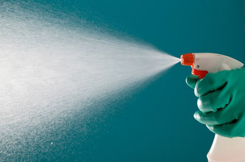 как быстро снять бумажные обои как быстро снять бумажные обои